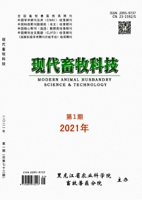 2021年01期